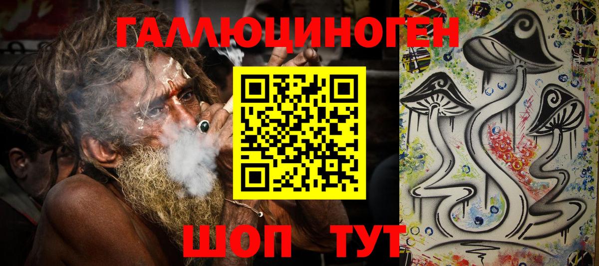 Псилоцибиновые грибы Psilocybe Ступино