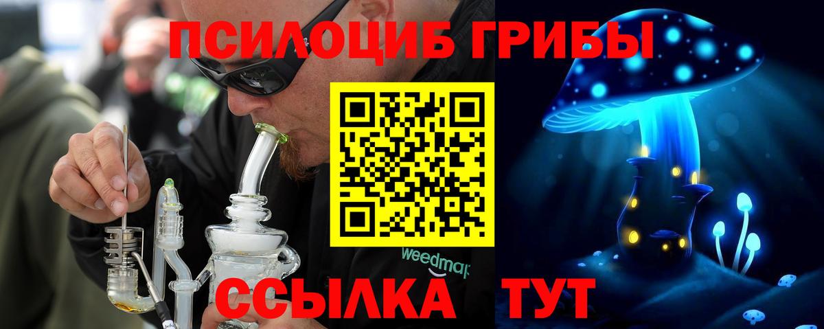 Ступино  Псилоцибиновые грибы Psilocybine cubensis  Вход с VPN 